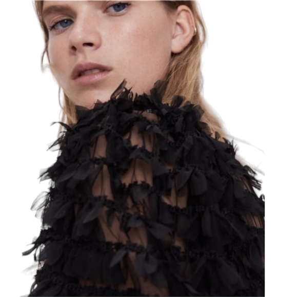 Zara Tulle Fringe Dress - Picture 4 of 12